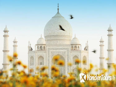 09 Days Golden triangle tour with golden temple Amritsar