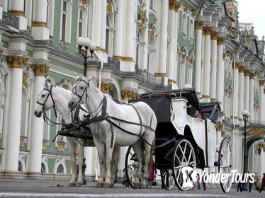 1 Day Imperial Saint Petersburg Highlights Tour Visas Included