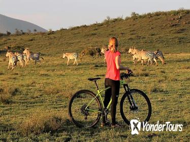 1 day Walking and Bike Safari in Arusha National Park