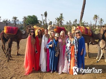 1 Hour of Camel Ride in PalmGrove to see Sunset