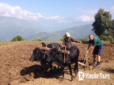 14 days Farmer Community Tour in Nepal
