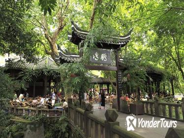 1-Day Panda Breeding Center plus Chengdu City Tour