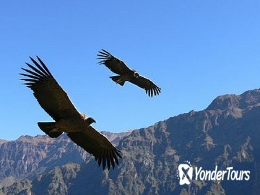 2 days Colca Canyon tour from Arequipa