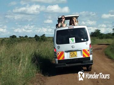 2 days Tsavo East and West National parks safaris from Mombasa