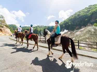 2.5-hour Horseback Ride and Volcano Tour in St. Lucia