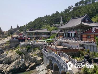 2-Day Rail Tour to Gyeongju and Busan from Seoul
