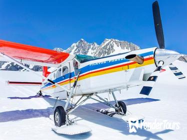 35-Minute Valley and Glacier Ski Plane Tour from Mount Cook