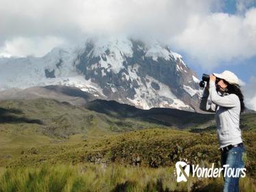 3-Day Andean Train and Volcanoes
