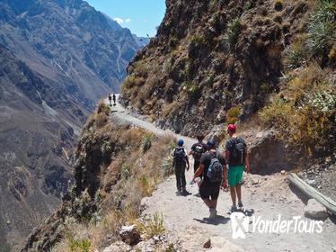3-Day Backpacker Colca Canyon Trek from Arequipa