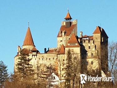 3-Day Best of Romania Tour from Cluj Napoca: Bran Castle, Brown Bears Sanctuary, Turda Salt Mine, Hunedoara Castle, Brasov, Sighisoara, Rasnov Fortress