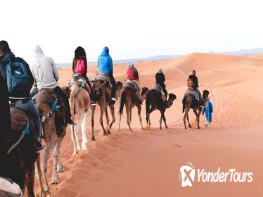3-day excursion to Merzouga from Marrakech including the Dades valley and camel trek in Erg Chebbi