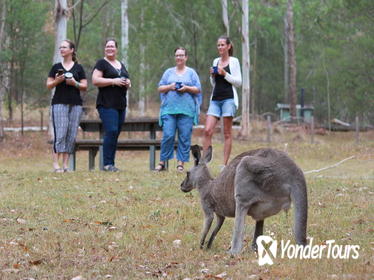 3-Day Great Camping Adventures Kangaroos Abseiling Hiking Aboriginal Experience