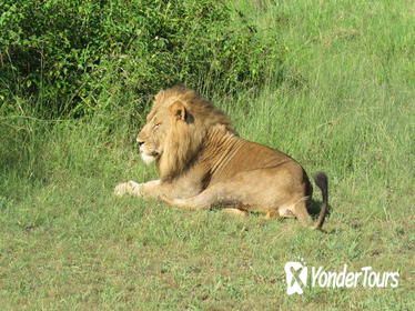 3-Day Luxury Uganda Safari- Murchison Falls National Park