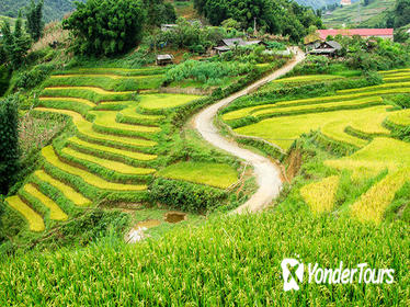 3-Day Sapa and Hill Tribes Biking Tour from Hanoi with Accommodation