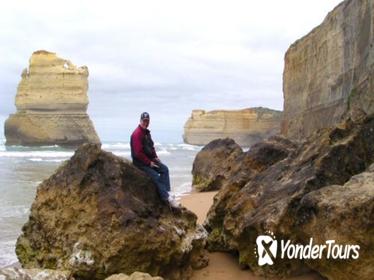 3-Day Small-Group Great Ocean Road and Australian Wildlife Tour from Melbourne