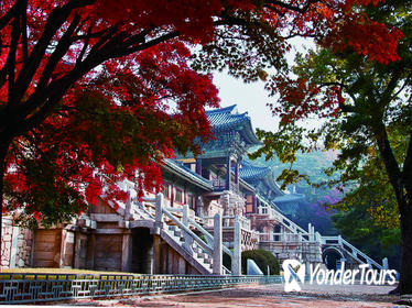 3-Day Tour of Eastern Korea from Busan to Seoul
