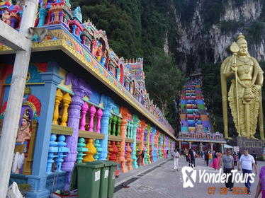 4 in 1 Day Tour Batu Caves Elephant Conservation Center Monkeys and Fireflies from Kuala Lumpur