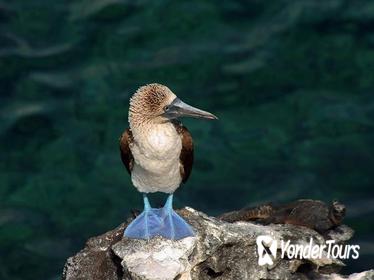 4-Day Galapagos Total Experiencie Tour