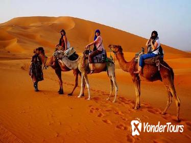 4-Day Small-Group Tour from Marrakech to Fez via the Desert