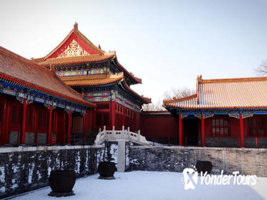 4-Hour Private Beijing Walking Tour of the Forbidden City