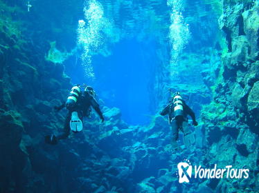 4-Hour Small-Group Diving Tour From Thingvellir National Park