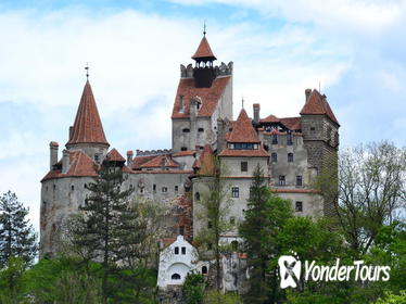 4x4 Tour and Visit of Bran Castle and The Bear Reservation