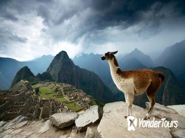 5-Day Machu Picchu and Highlights of Cusco