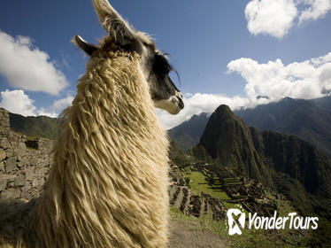 6 - Day Exploring Cusco