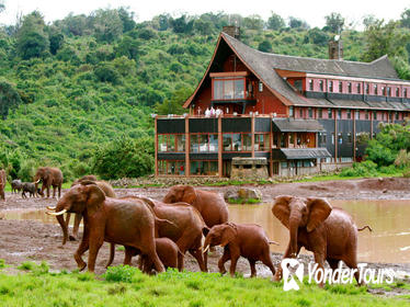 6-Day Aberdare, Lake Nakuru and Masai Mara Safari from Nairobi