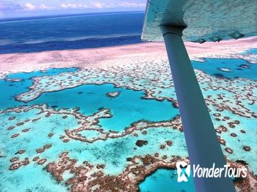 8-Day Cairns Tour: Great Barrier Reef, Kuranda, Daintree Rainforest
