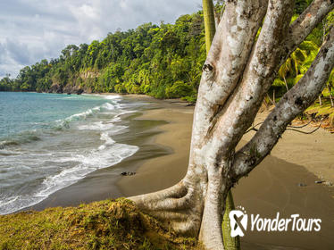 8-Day Costa Rica Natural Wonders Guided Adventure Hike