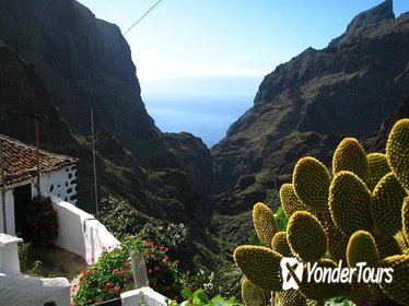9 hour Trekking Tour of Masca Village in Tenerife for Small Group with Guide