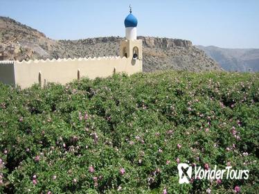 9-Hour Jabal Akhdar Green Mountains Tour