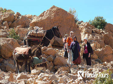 A Walking Day in the High Atlas Among Nomads