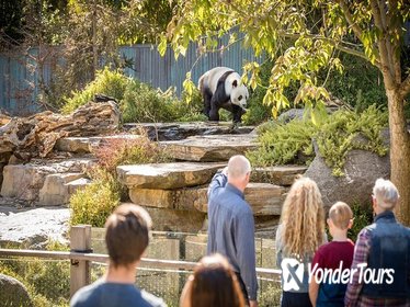 Adelaide Zoo Behind the Scenes Experience: Panda and Friends Tour