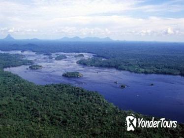 Amazon Rainforest Survival Tour from Manaus
