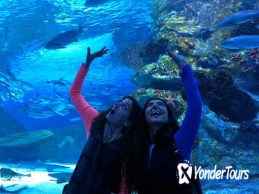 Antalya Aquarium with a Short City Tour and Visit to Lara Waterfall