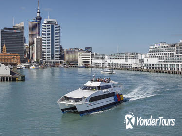 Auckland Harbour Sightseeing Cruise