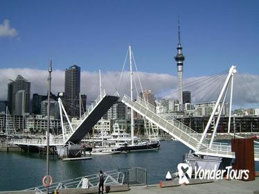 Auckland Shore Excursion: Small-Group Auckland City Tour