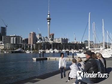 Auckland Sights and Bites Small-Group Walking Tour
