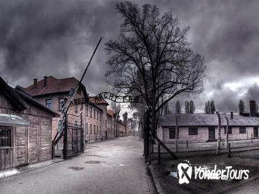Auschwitz-Birkenau Historical Tour From Krakow with Transport