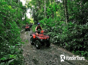 Bali ATV Ride And Ubud Tour Packages