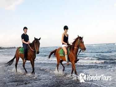 Bali Beach Horse Riding with 2 Hours Spa Experience