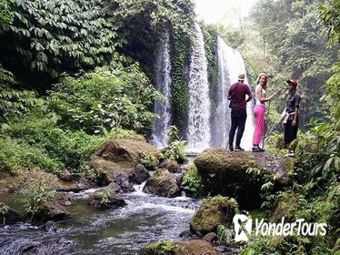 Banyumala Waterfall Trekking,Jungle Trekking and The Real Coffee Plantation