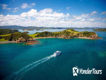 Bay of Islands Transfer Pass from Auckland