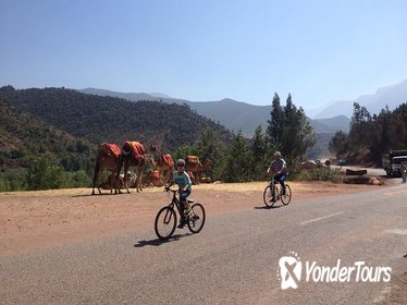 Beginners On-Road Bike Tour of the Atlas Mountains from Marrakech