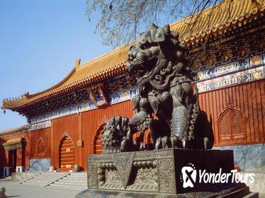 Beijing Day Tour: Hutong, Lama Temple, and Panda Zoo