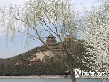 Beijing Small-Group Tour: Summer Palace and Ming Tombs with Lunch