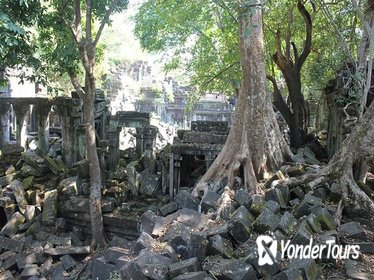 Beng Mealea & Angkor Wat Join In Tour