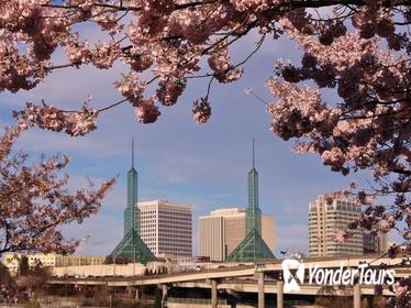Best of Portland City Afternoon Tour